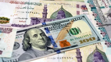 سعر الدولار في مصر يستقر قرب أعلى مستوياته تاريخيا