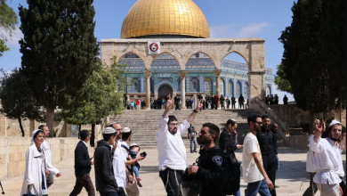 الاقصى فلسطين
