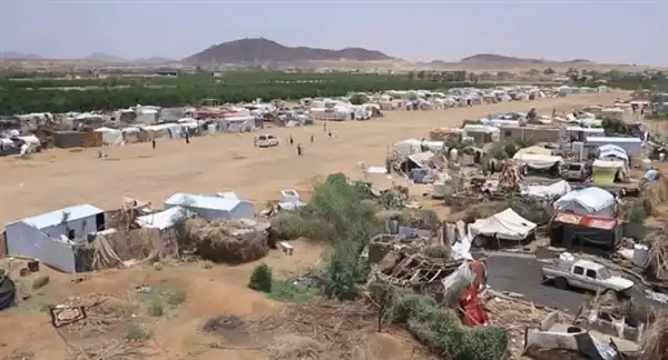 منظمة الهجرة الدولية: نزوح أكثر من 6.5 ألف يمني منذ مطلع العام الجاري لدوافع أمنية واقتصادية