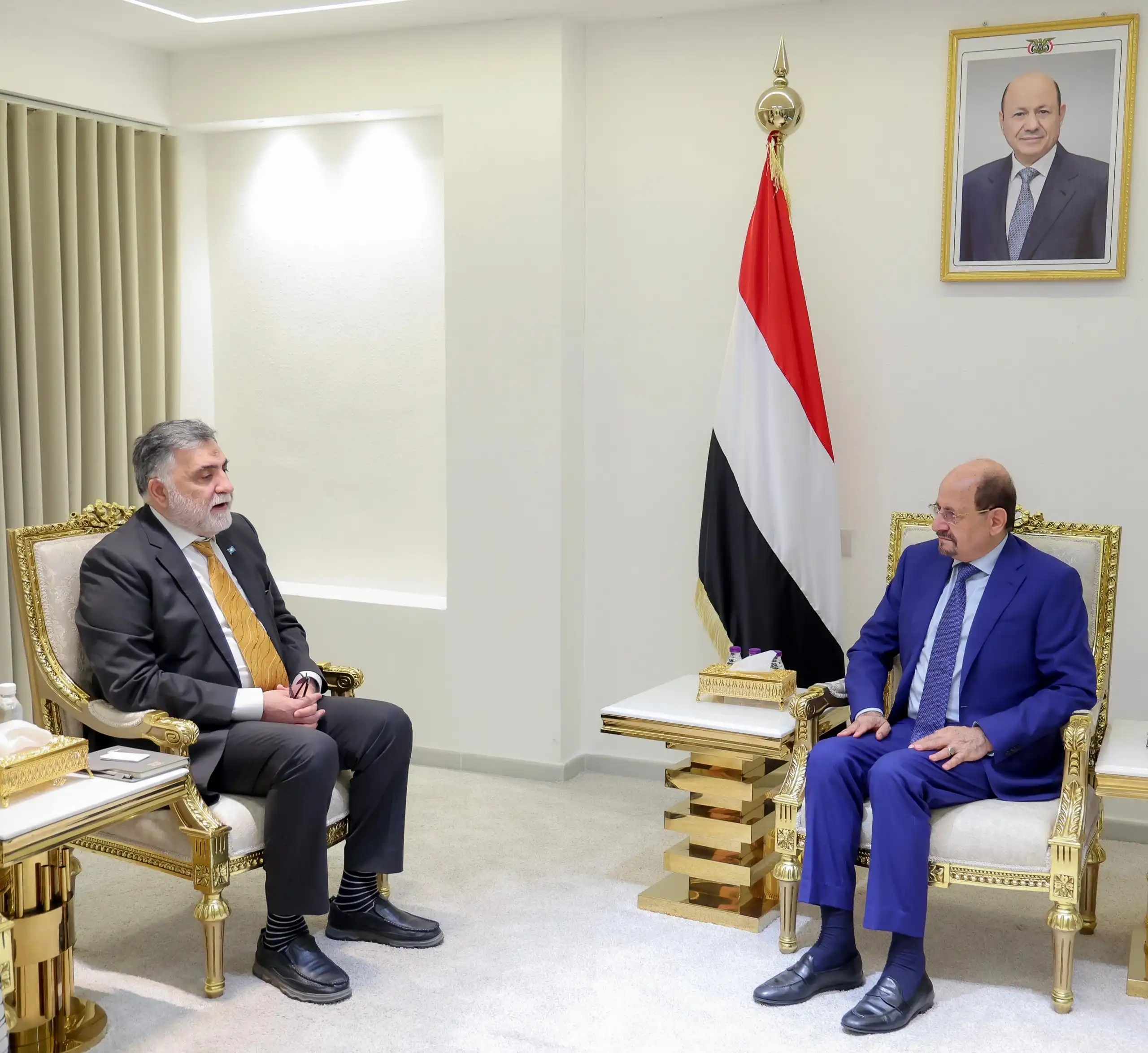 The Prime Minister and Foreign Minister discusses strengthening partnership with WHO representative to support Yemen's health system.