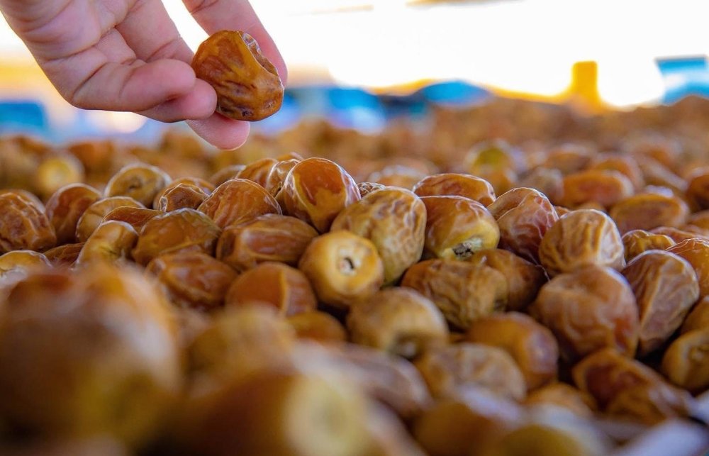 Saudi Arabia anticipates record growth in date exports by 2025, highlighting the sector's increasing global significance.