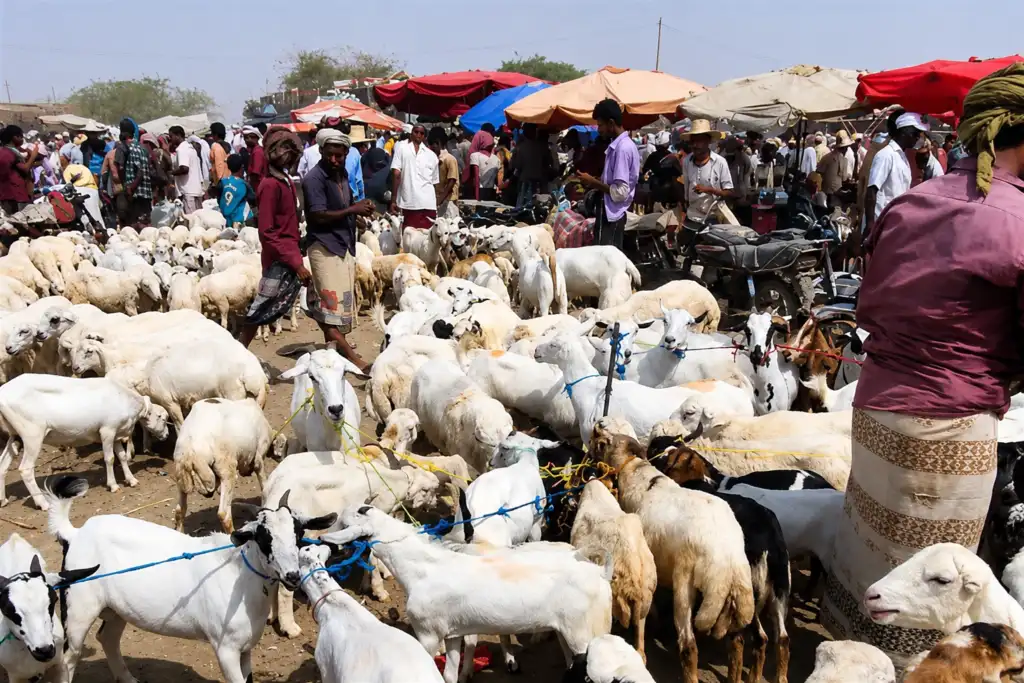 Unprecedented surge in livestock prices attributed to rising costs and market demand.