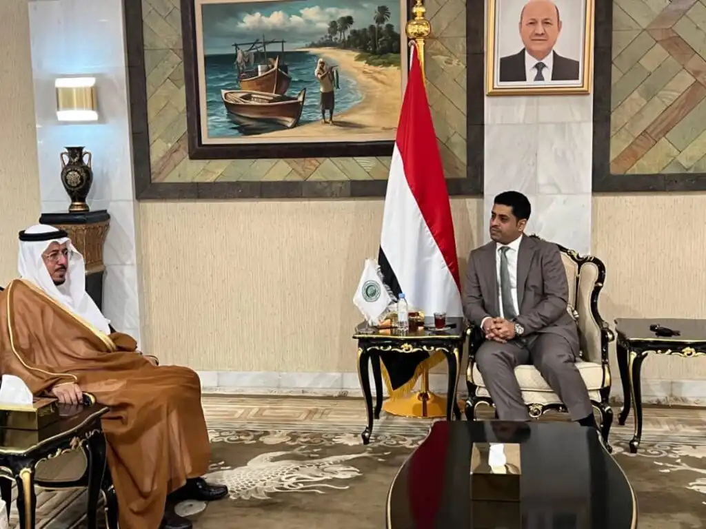 وزير حقوق الانسان يبحث مع منظمة التعاون الإسلامي سبل تعزيز التعاون والشراكة