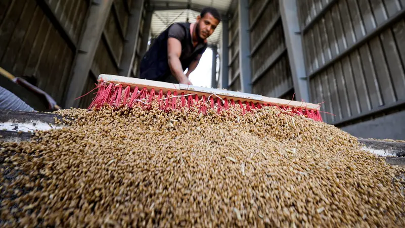 Egypt moves closer to its wheat supply goal after purchasing 4.7 million tons.