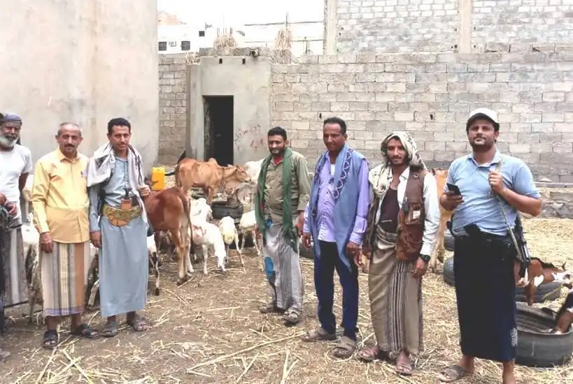 Sous prétexte de protection de l'environnement, les milices houthis imposent de nouvelles taxes aux éleveurs de bétail.