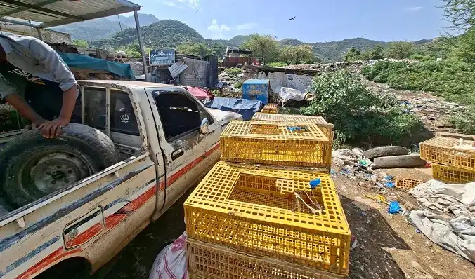 Un responsable houthi s'empare de terres appartenant aux biens waqf à Al-Mudhikhara.