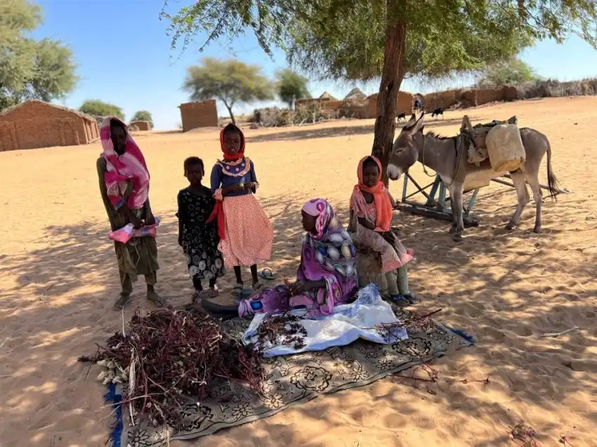 Alerte internationale : l'insécurité alimentaire au Soudan menace 19,5 millions de personnes.