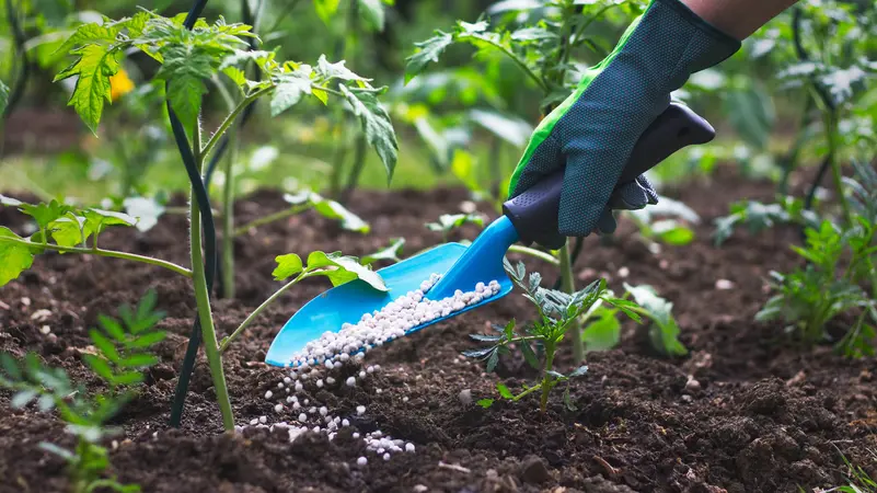 La fermeture du détroit d'Hormuz renforce les inquiétudes concernant la sécurité alimentaire au Japon.