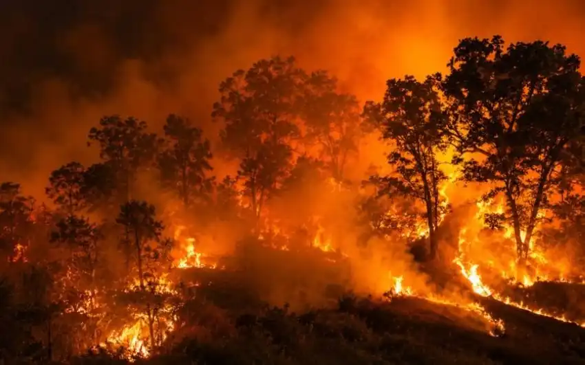 La France évacue les environs de Bordeaux en raison de l'augmentation des incendies de forêt.