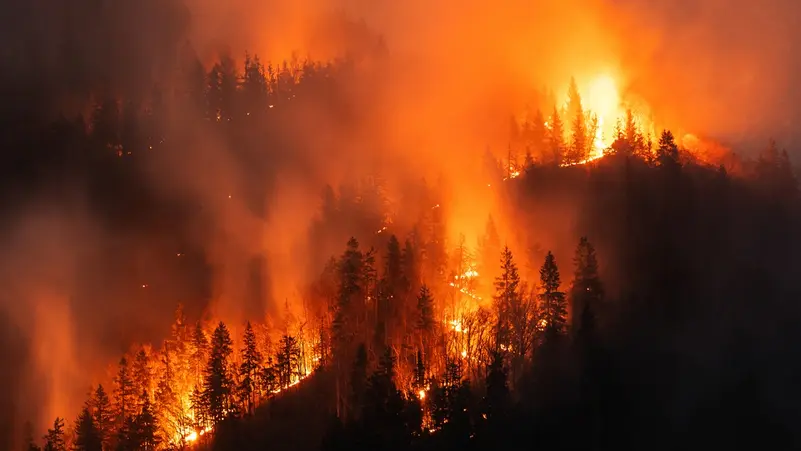 Massive wildfires sweep through southern France, forcing dozens of residents to evacuate their homes.