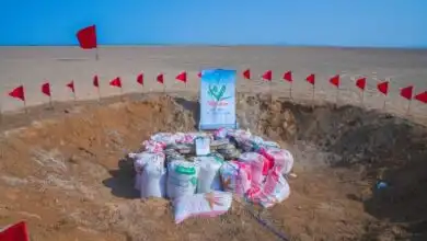 “مسام” ينزع 5164 لغماً وذخيرة وعبوة ناسفة منذ بداية سبتمبر