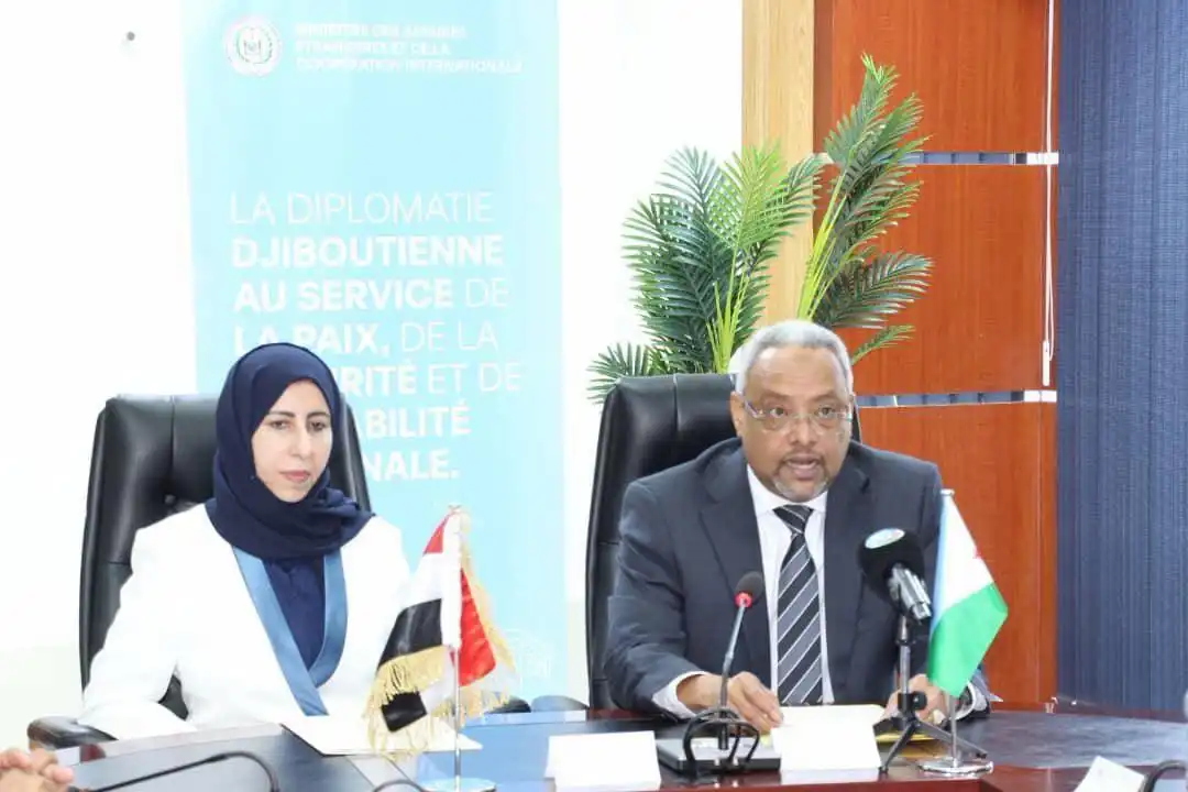 La ministre des Affaires étrangères et son homologue djiboutien discutent du renforcement des relations bilatérales et de la coordination.