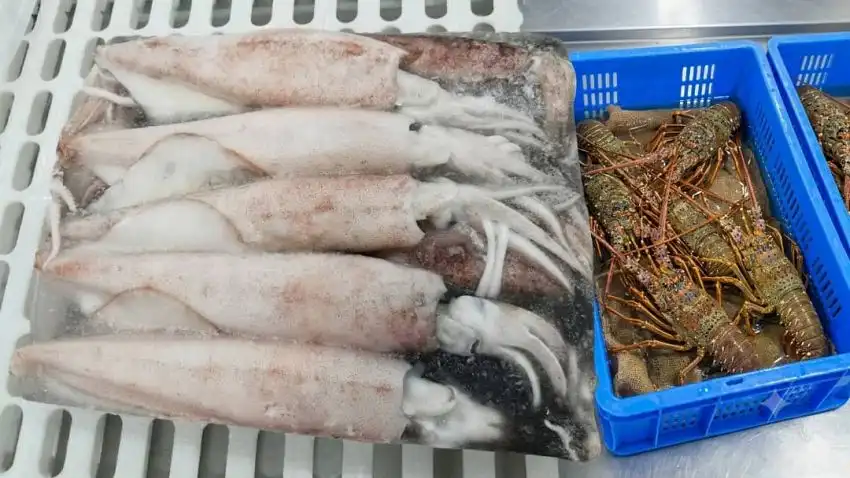 Le ministère de l'Agriculture annonce la fermeture de la saison de pêche au calmar et l'interdiction de la pêche aux sars pour préserver les ressources halieutiques.