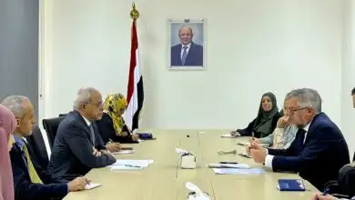 نائب وزير الخارجية يبحث مع سفيري الاتحاد الأوروبي وهولندا تعزيز الشراكة والدعم السياسي والتنموي