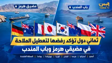 ثماني دول تؤكد رفضها تعطيل الملاحة في مضيقي هرمز وباب المندب
