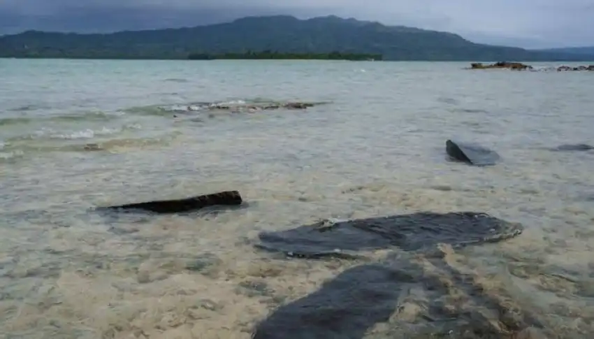 Plus de 30 disparus après le naufrage d'un ferry passagers au large de Vanuatu, la recherche se poursuit pour le troisième jour.