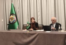وزيرة الخارجية تؤكد أهمية نزع سلاح الجماعات المسلحة ودعم مؤسسات الدولة