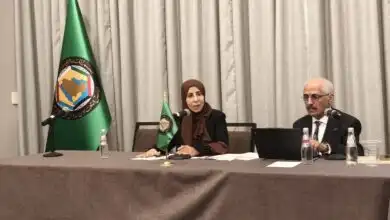 وزيرة الخارجية تؤكد أهمية نزع سلاح الجماعات المسلحة ودعم مؤسسات الدولة