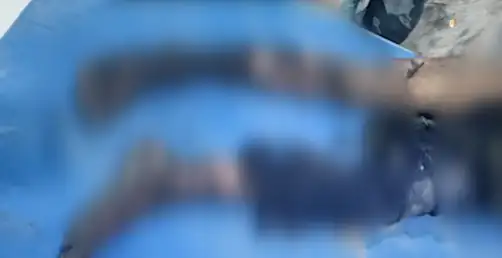 A new massacre by the Houthis in Raghwan has resulted in the deaths of two children and injuries to fifteen displaced individuals, including eight children.