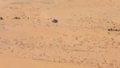 القوات المسلحة في مأرب تواصل عملياتها ضد مليشيات الحوثي الإرهابية