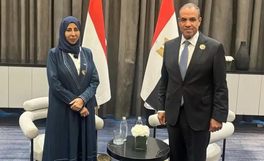 The Foreign Minister discusses with her Egyptian counterpart enhancing joint coordination and the Houthi escalation.