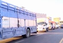 السلطة المحلية بلحج تسيِّر أولى القوافل الغذائية العاجلة إلى المقاتلين والأُسَر المتضرِّرة من القصف الحوثي