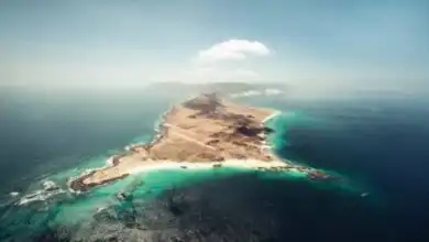 افتتاح أول مركز للشرطة في جزيرة عبدالكوري لتعزيز الأمن والاستقرار
