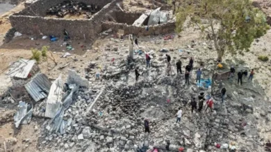الأردن يؤكد اعتزازه بالعلاقات مع سوريا ويعلن مقتل أكثر من 20 عنصراً من داعش