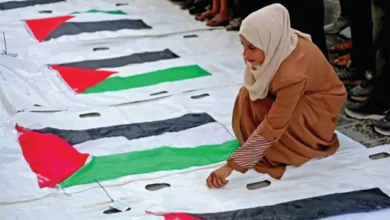 12 شهيدًا و42 مصابًا في قصف إسرائيلي على تل الهوى بغزة… واعتداءات متواصلة في الضفة والقنيطرة