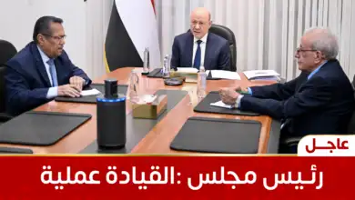 رئيس مجلس القيادة: عملية “فجر اليمن” ماضية حتى تحقيق أهدافها الكاملة